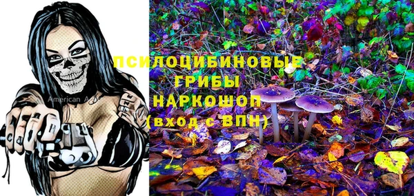 соль ск Бронницы