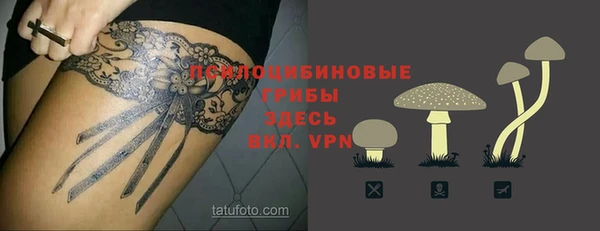 соль ск Бронницы