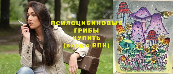 соль ск Бронницы