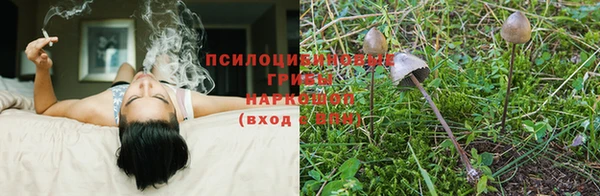соль ск Бронницы