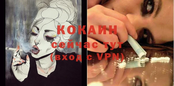 соль ск Бронницы