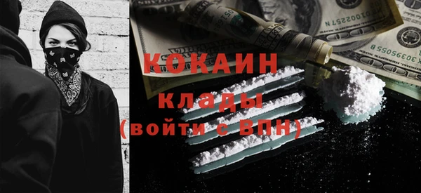 индика Снежногорск